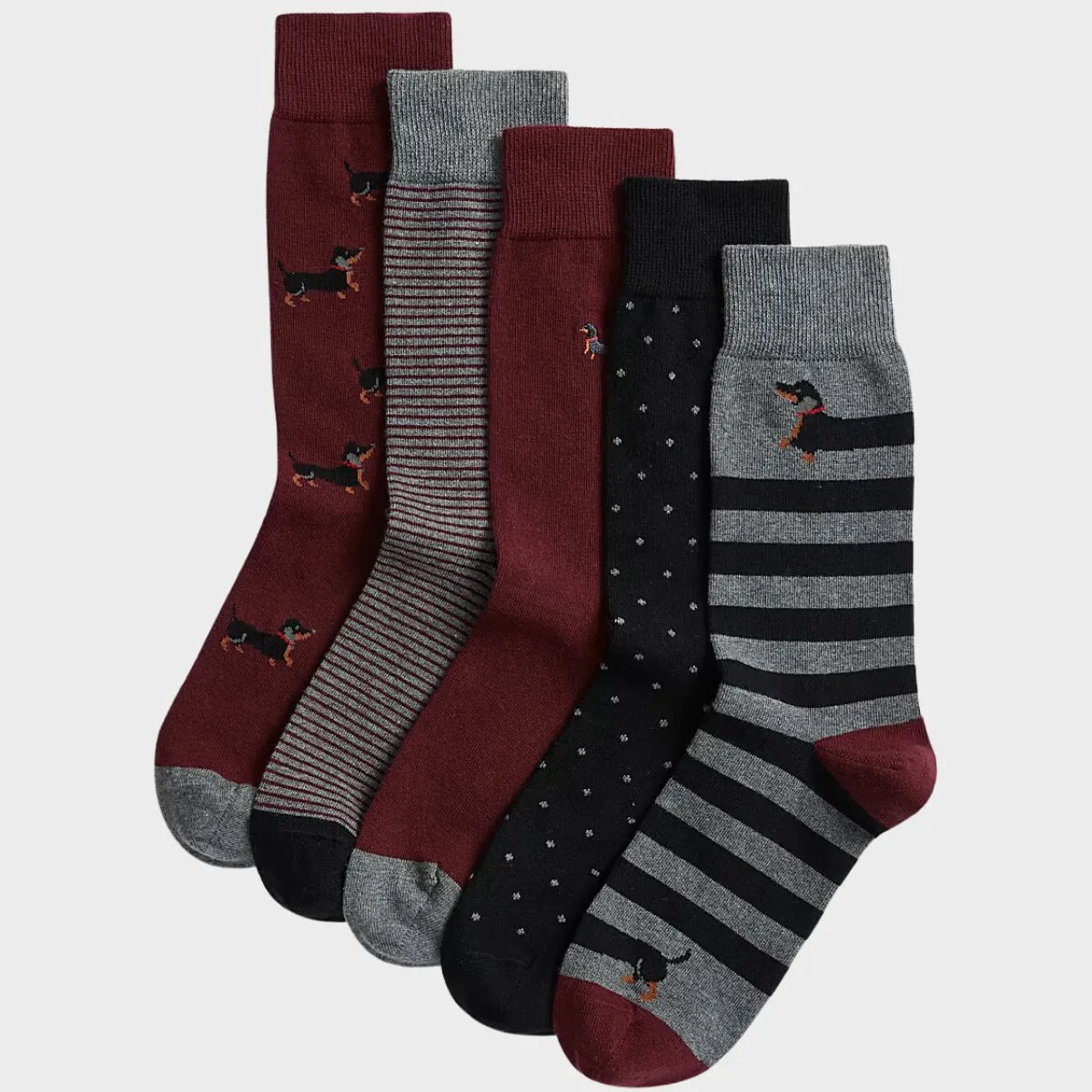 5pk Cotton Rich Dachshund Socks