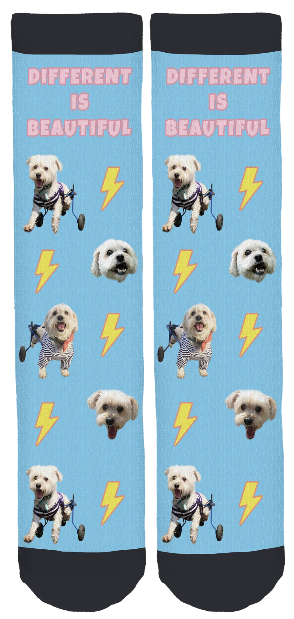 Albert on Wheels Crew Socks