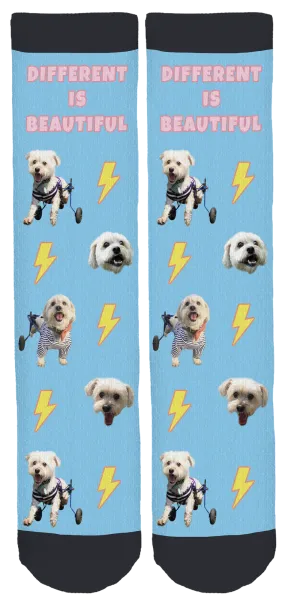 Albert on Wheels Crew Socks