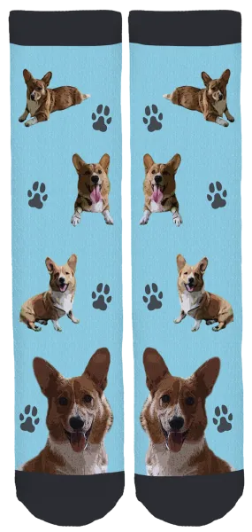 Bear The Corgi Crew Socks