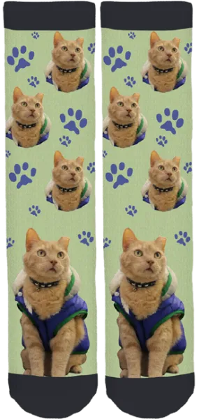 Bucks County SPCA Morty Socks