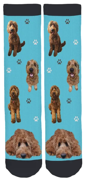 Charlie the Goldendoodle Crew Socks