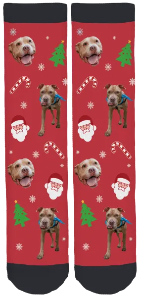 Live Like Roo Holiday Socks