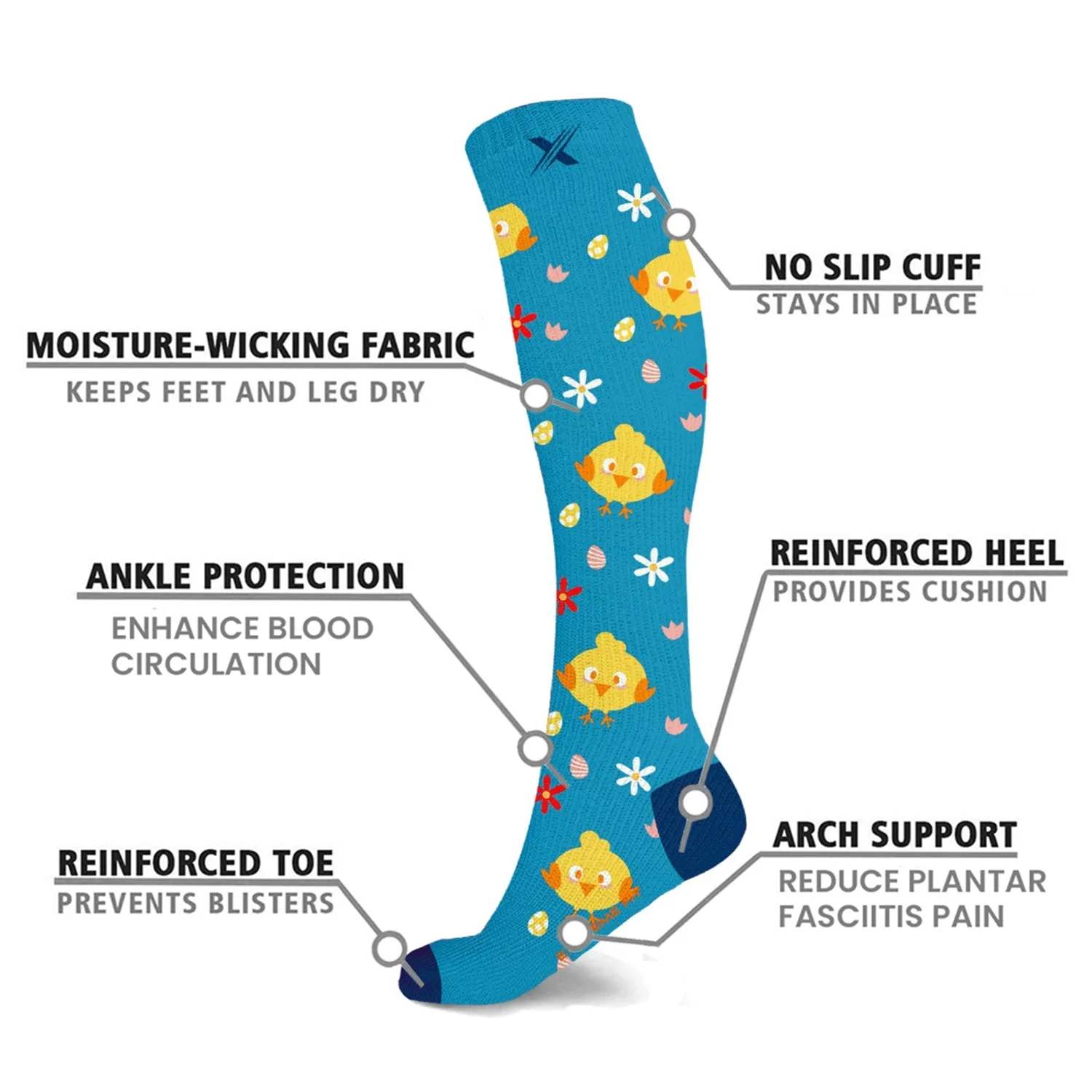 Novelty Collection Socks (6-Pairs)