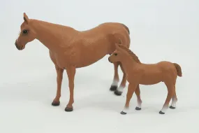 Quarter Horse Mare & Colt